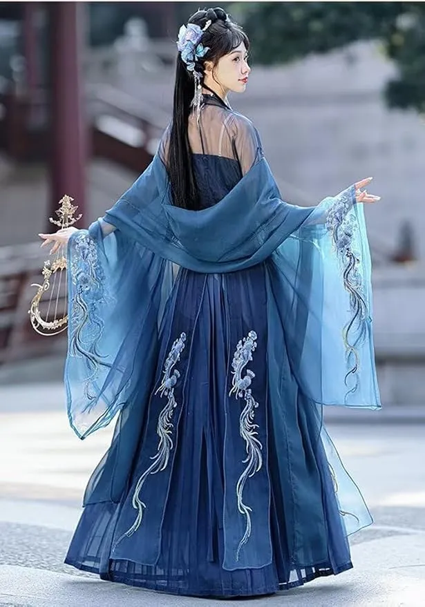 Step Back in Time: Discover the Elegance of the Chinese Dynasty Embroidered Traditional Ancient Dress